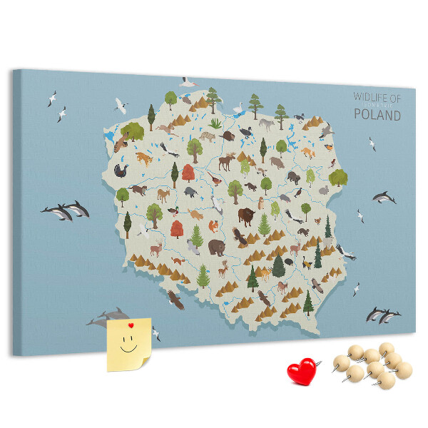 Tableau affichage liège La faune polonaise sur une carte colorée