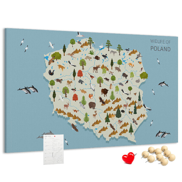 Tableau affichage liège La faune polonaise sur une carte colorée