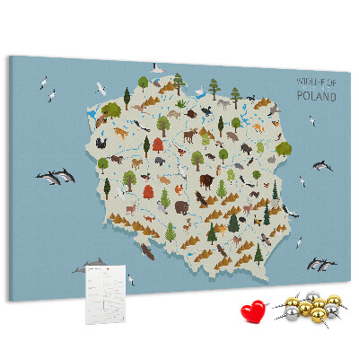 Tableau affichage liège La faune polonaise sur une carte colorée