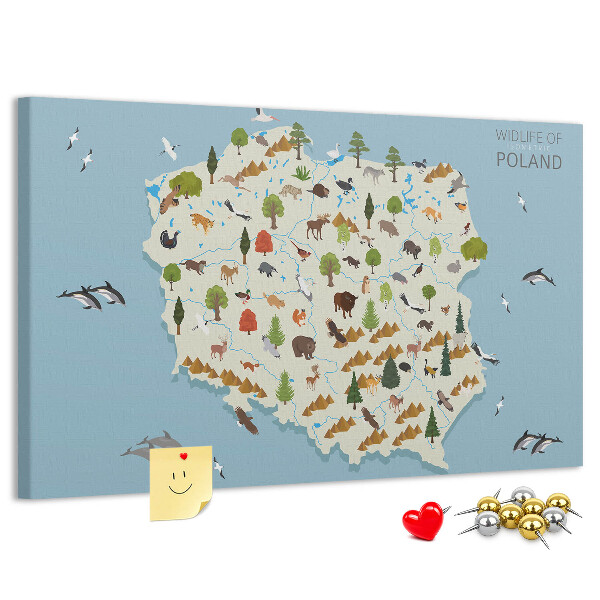 Tableau affichage liège La faune polonaise sur une carte colorée