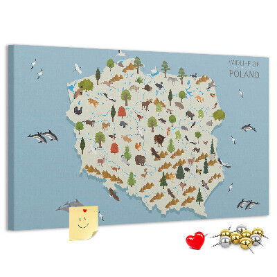 Tableau affichage liège La faune polonaise sur une carte colorée