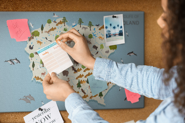 Tableau affichage liège La faune polonaise sur une carte colorée