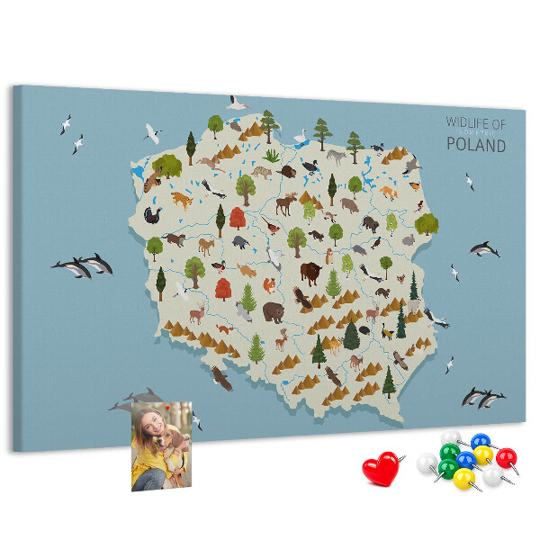 Tableau affichage liège La faune polonaise sur une carte colorée