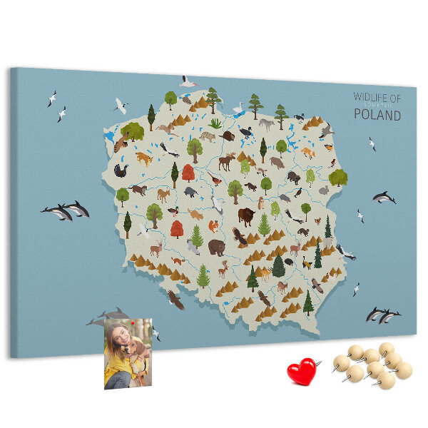Tableau affichage liège La faune polonaise sur une carte colorée