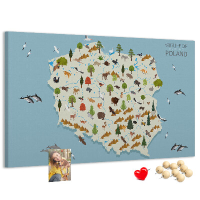 Tableau affichage liège La faune polonaise sur une carte colorée