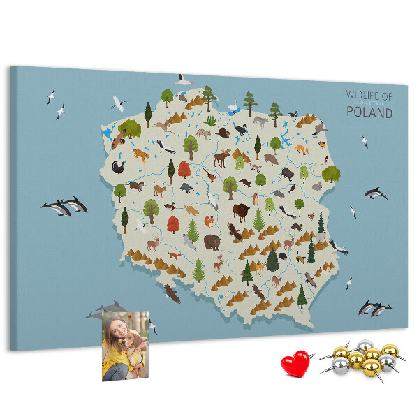 Tableau affichage liège La faune polonaise sur une carte colorée