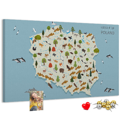 Tableau affichage liège La faune polonaise sur une carte colorée