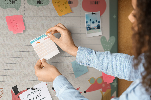 Tableau affichage liège Animaux rétro sur un agenda hebdomadaire