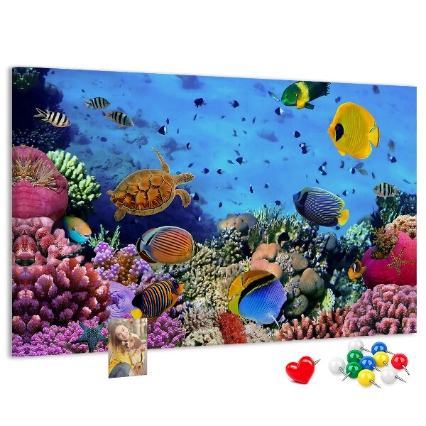 Tableau en liège Un monde tropical de couleurs sous-marines et de poissons