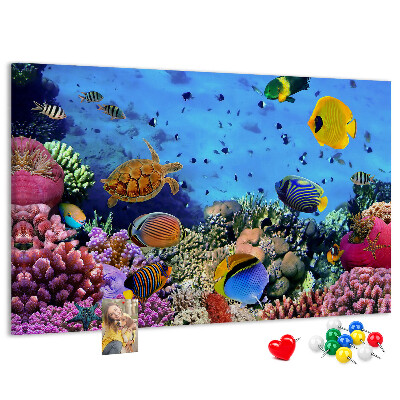 Tableau en liège Un monde tropical de couleurs sous-marines et de poissons
