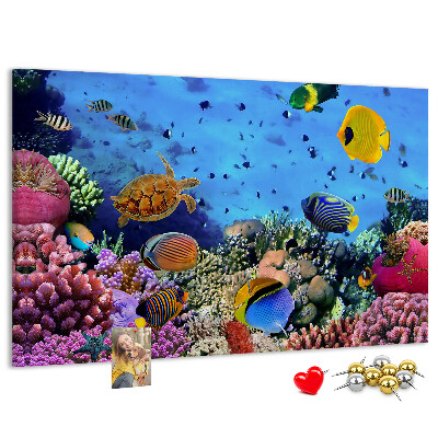 Tableau en liège Un monde tropical de couleurs sous-marines et de poissons