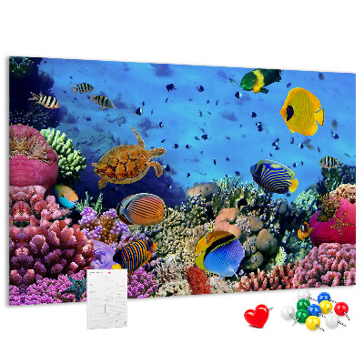 Tableau en liège Un monde tropical de couleurs sous-marines et de poissons