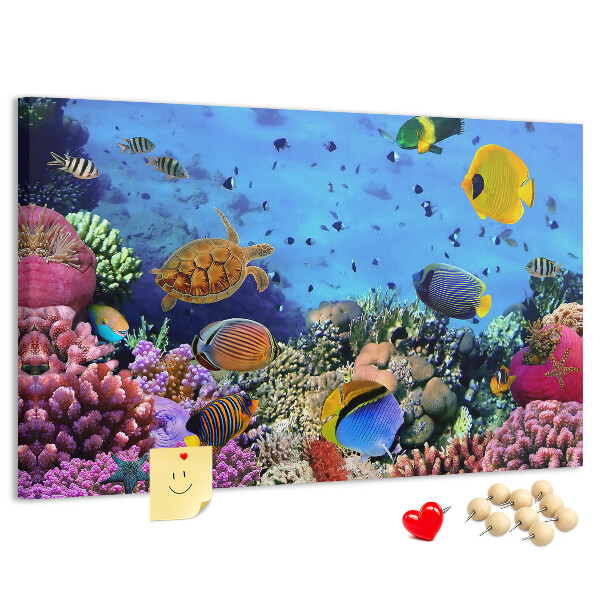 Tableau en liège Un monde tropical de couleurs sous-marines et de poissons