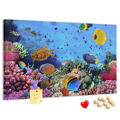 Tableau en liège Un monde tropical de couleurs sous-marines et de poissons