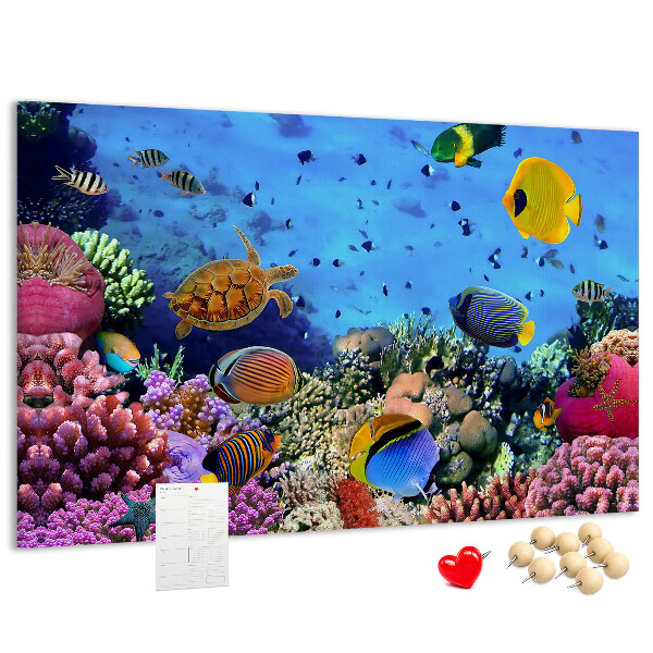 Tableau en liège Un monde tropical de couleurs sous-marines et de poissons