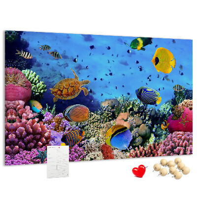 Tableau en liège Un monde tropical de couleurs sous-marines et de poissons