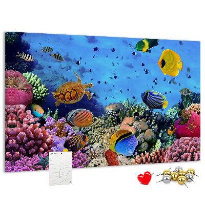 Tableau en liège Un monde tropical de couleurs sous-marines et de poissons