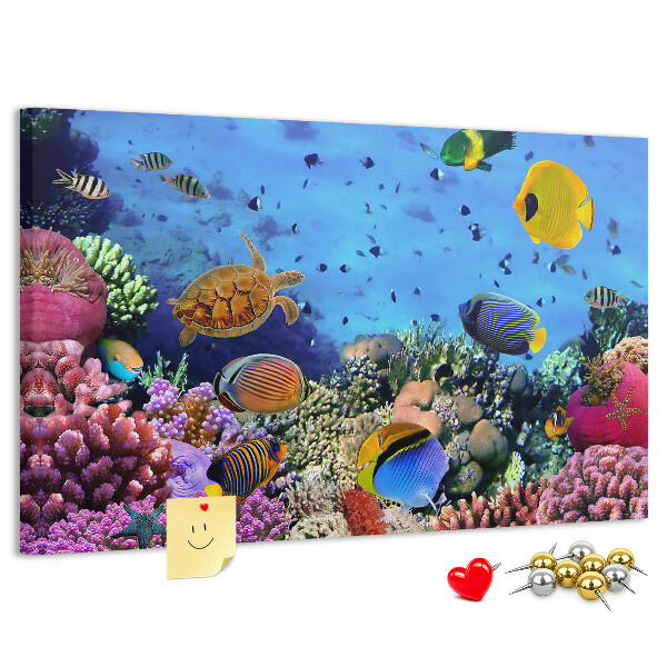 Tableau en liège Un monde tropical de couleurs sous-marines et de poissons
