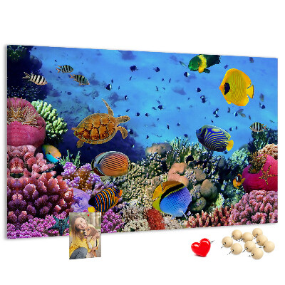 Tableau en liège Un monde tropical de couleurs sous-marines et de poissons