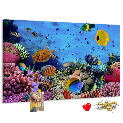 Tableau en liège Un monde tropical de couleurs sous-marines et de poissons