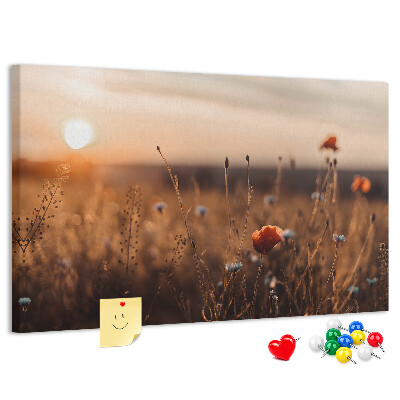 Tableau affichage liège Champ doré de coquelicots au coucher du soleil