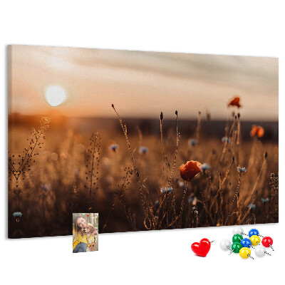 Tableau affichage liège Champ doré de coquelicots au coucher du soleil