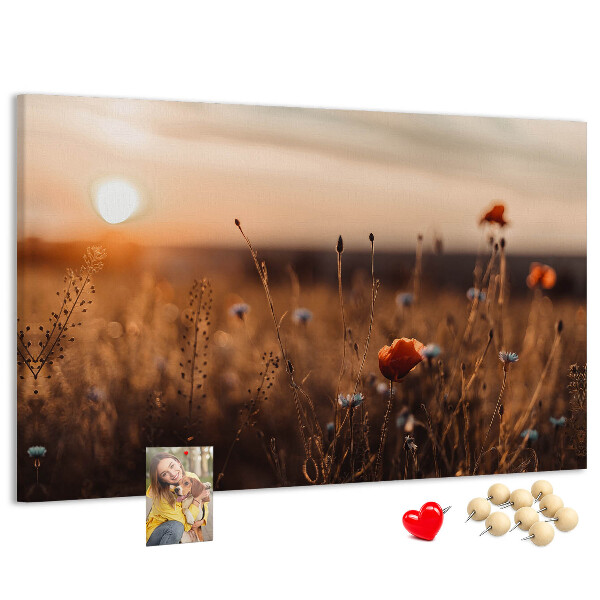 Tableau affichage liège Champ doré de coquelicots au coucher du soleil