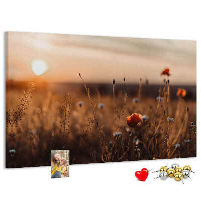 Tableau affichage liège Champ doré de coquelicots au coucher du soleil