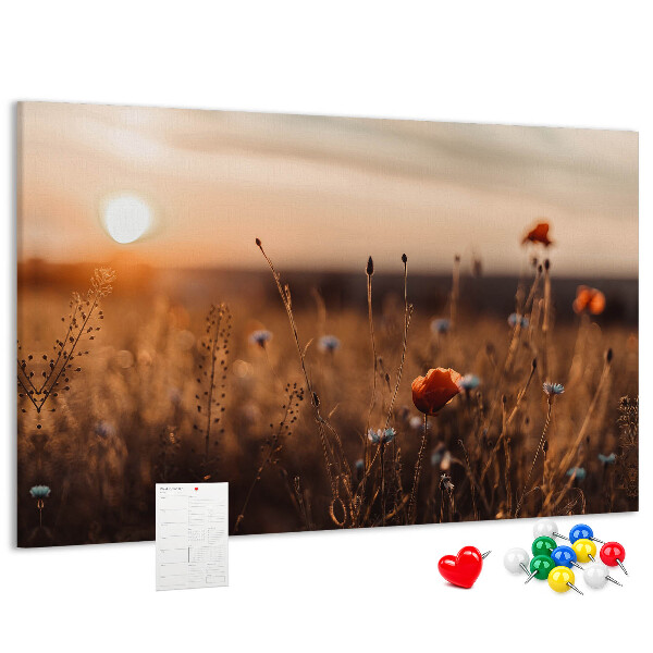 Tableau affichage liège Champ doré de coquelicots au coucher du soleil