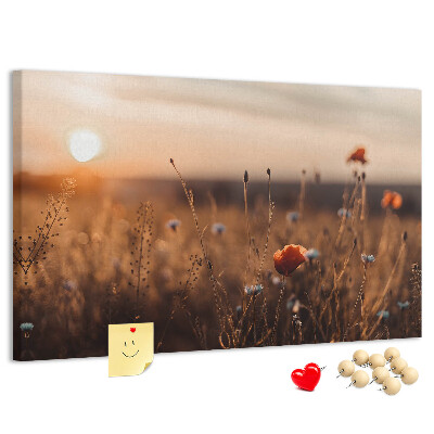 Tableau affichage liège Champ doré de coquelicots au coucher du soleil