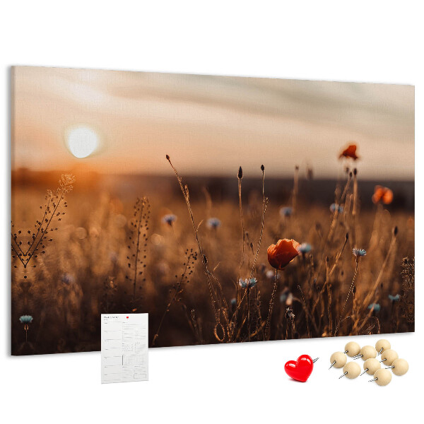 Tableau affichage liège Champ doré de coquelicots au coucher du soleil