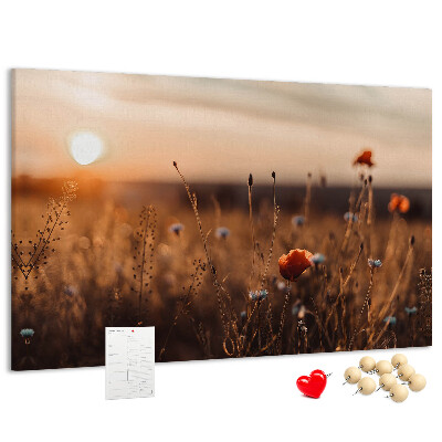 Tableau affichage liège Champ doré de coquelicots au coucher du soleil