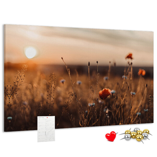 Tableau affichage liège Champ doré de coquelicots au coucher du soleil