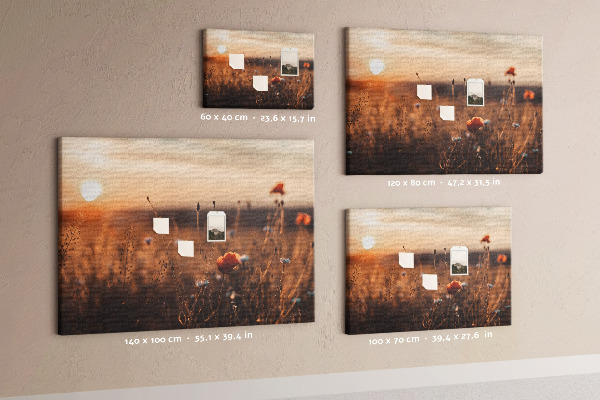 Tableau affichage liège Champ doré de coquelicots au coucher du soleil