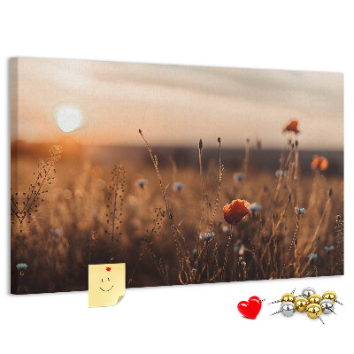 Tableau affichage liège Champ doré de coquelicots au coucher du soleil