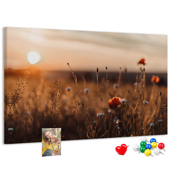 Tableau affichage liège Champ doré de coquelicots au coucher du soleil