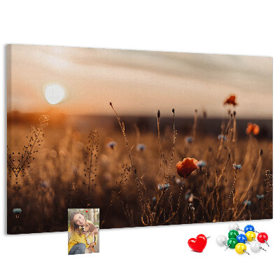 Tableau affichage liège Champ doré de coquelicots au coucher du soleil