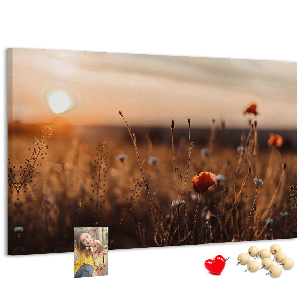 Tableau affichage liège Champ doré de coquelicots au coucher du soleil