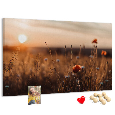 Tableau affichage liège Champ doré de coquelicots au coucher du soleil