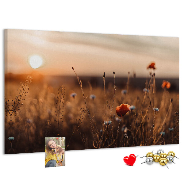 Tableau affichage liège Champ doré de coquelicots au coucher du soleil
