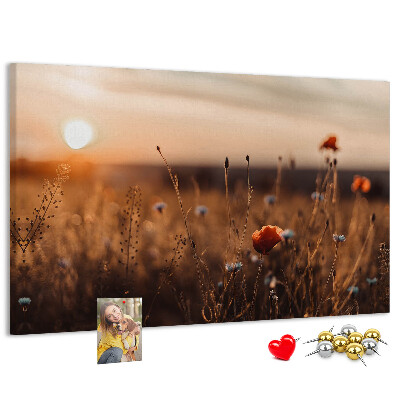 Tableau affichage liège Champ doré de coquelicots au coucher du soleil