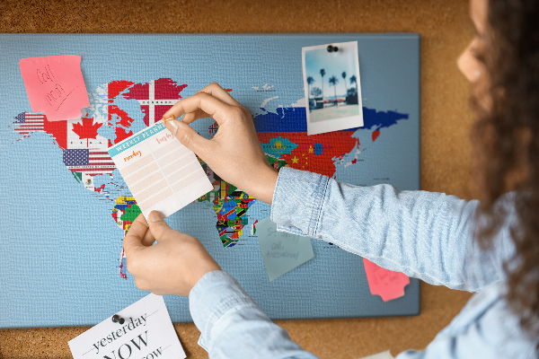 Tableau affichage liège Carte du monde avec les drapeaux des pays