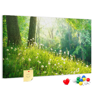 Tableau de liège Forêt verte avec des pissenlits en fleurs