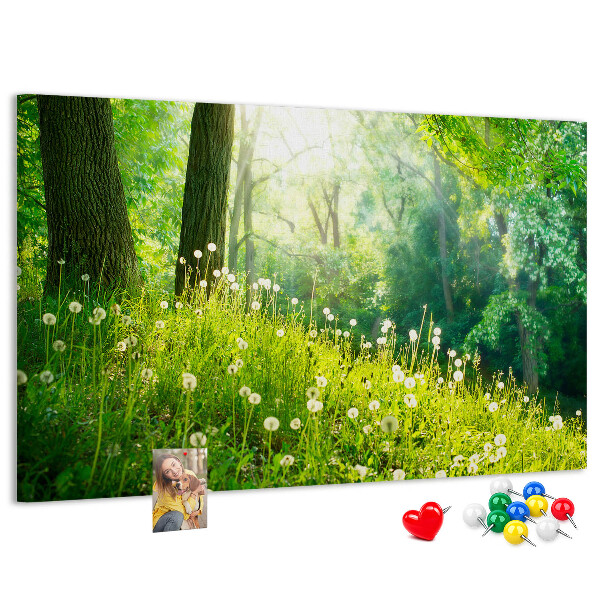 Tableau de liège Forêt verte avec des pissenlits en fleurs