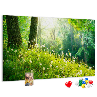 Tableau de liège Forêt verte avec des pissenlits en fleurs