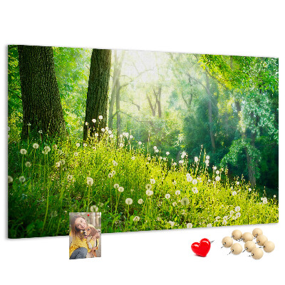 Tableau de liège Forêt verte avec des pissenlits en fleurs