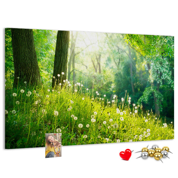 Tableau de liège Forêt verte avec des pissenlits en fleurs