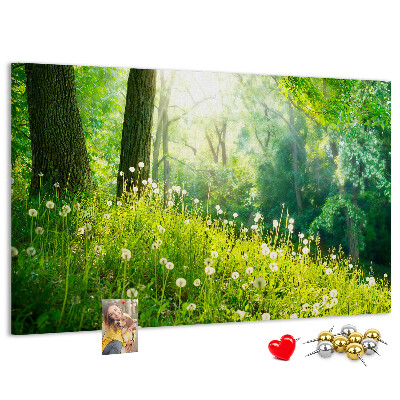 Tableau de liège Forêt verte avec des pissenlits en fleurs