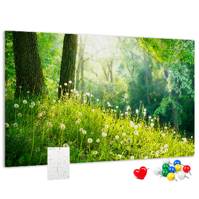 Tableau de liège Forêt verte avec des pissenlits en fleurs