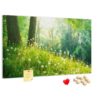 Tableau de liège Forêt verte avec des pissenlits en fleurs